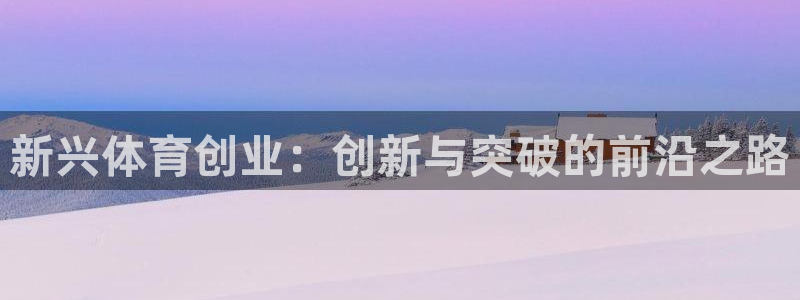 雨燕360体育直播：新兴体育创业：创新与突破的前沿之路