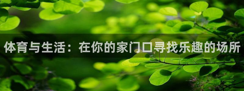 360体育雨燕直播入口：体育与生活：在你的家门口寻找乐趣的场所