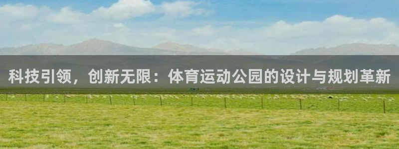 雨燕nba全场免费：科技引领，创新无限：体育运动公园的设计与规划革新
