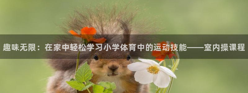 雨燕obd接口在哪图片：趣味无限：在家中轻松学习小学体育中的运动技能——室内操课程
