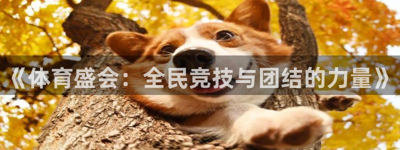 雨燕u23亚洲杯韩国对越南决赛：《体育盛会：全民竞技与团结的力量》