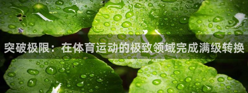 雨燕正在直播NBA赛场：突破极限：在体育运动的极致领域完成满级转换