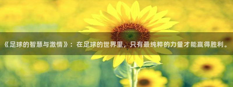 雨燕360体育nba季前赛：《足球的智慧与激情》：在足球的世界里，只有最纯粹的力量才能赢得胜利。