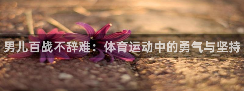 雨燕体育足球直播平台：男儿百战不辞难：体育运动中的勇气与坚持