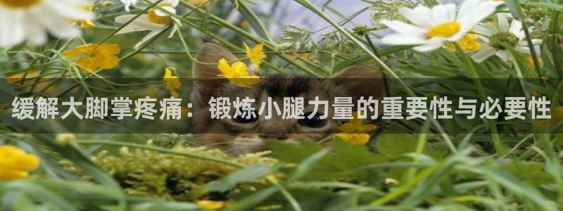 雨燕直播网：缓解大脚掌疼痛：锻炼小腿力量的重要性与必要性