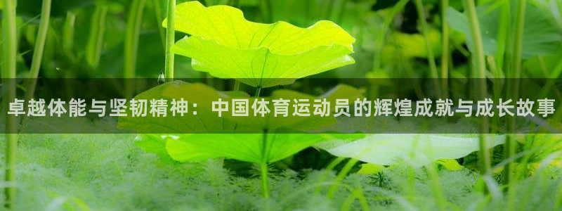 雨燕 体育：卓越体能与坚韧精神：中国体育运动员的辉煌成就与成长故事