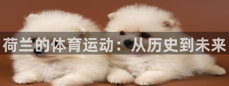 雨燕nba直播：荷兰的体育运动：从历史到未来
