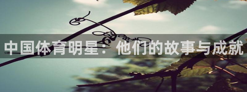雨燕obd连接不上：中国体育明星：他们的故事与成就