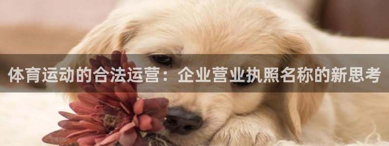 雨燕360体育：体育运动的合法运营：企业营业执照名称的新思考