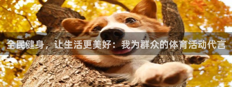 雨燕ios下载：全民健身，让生活更美好：我为群众的体育活动代言